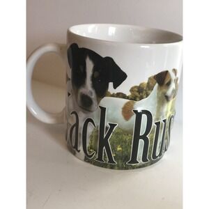 Jack Russell Terrier 3-D Mug Americaware 2014 Large Coffee Cup‎ Mug Dog